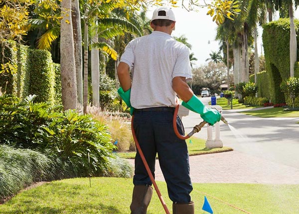 About Jane Lew WV Pest Control